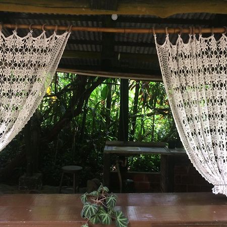Pousada Do Oasis Morretes Dış mekan fotoğraf