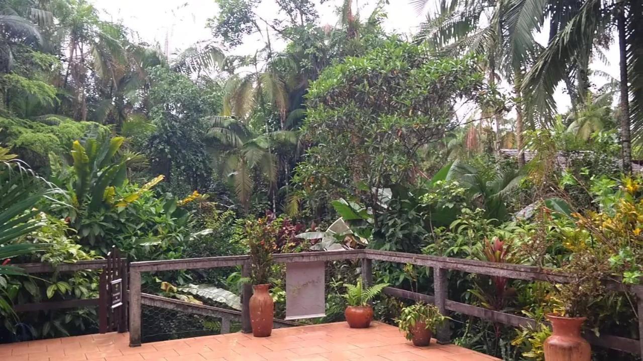 Pousada Do Oasis Morretes Dış mekan fotoğraf