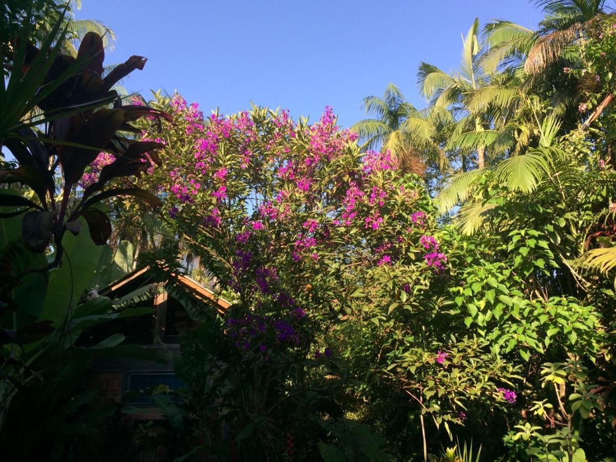 Pousada Do Oasis Morretes Dış mekan fotoğraf