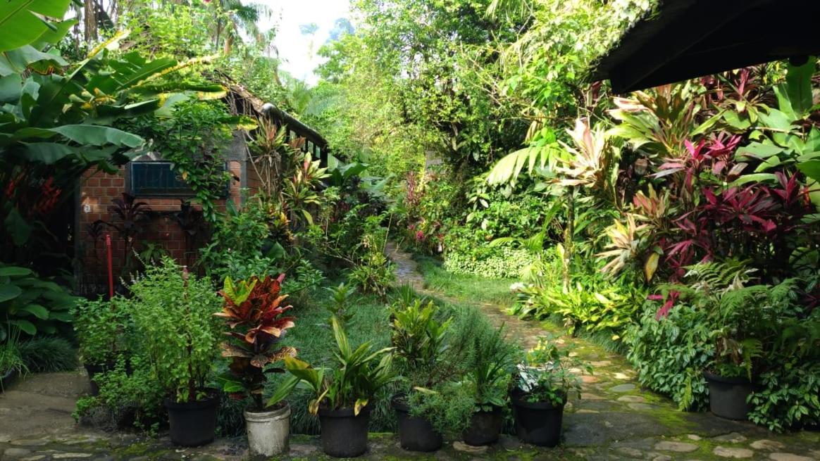 Pousada Do Oasis Morretes Dış mekan fotoğraf