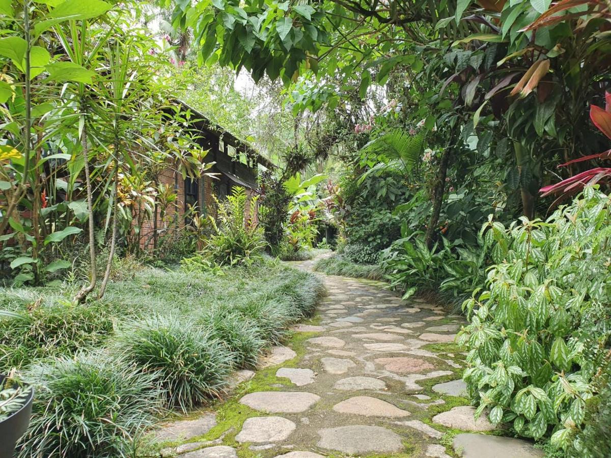 Pousada Do Oasis Morretes Dış mekan fotoğraf