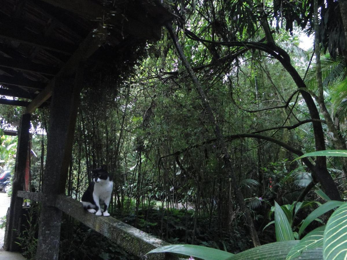 Pousada Do Oasis Morretes Dış mekan fotoğraf