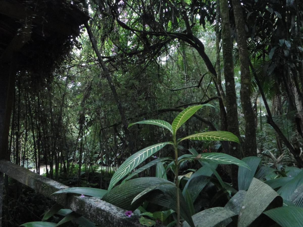 Pousada Do Oasis Morretes Dış mekan fotoğraf